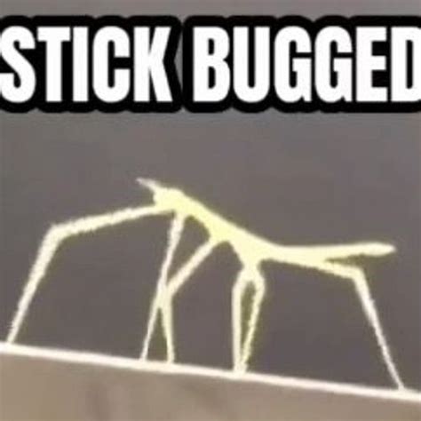 Catchy Stick Bug Song from Bee Swarm Simulator