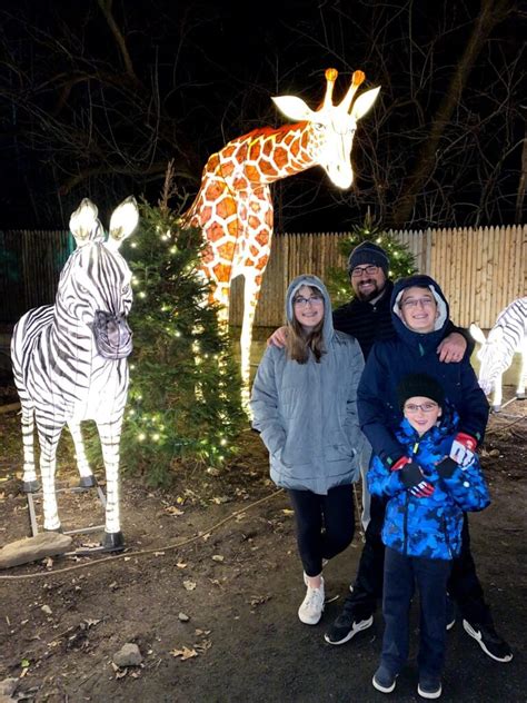 6 Things To Know About The Bronx Zoo Holiday Lights Exhibit