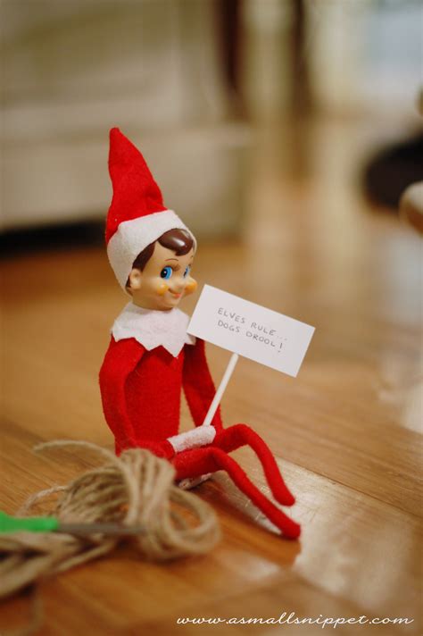 45 Elf on the Shelf Ideas (from the same Elf!) | A Small Snippet