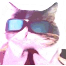 Business Cat Rave Cat GIF - Business Cat Rave Cat - Discover & Share GIFs