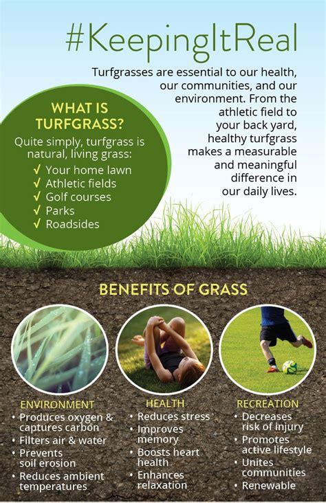 Why Turfgrass? | Overview of Turfgrass | Virginia Turfgrass Foundation