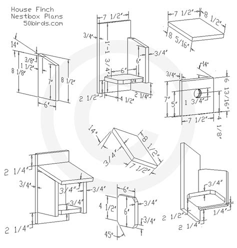 Finch Bird House Plans: Creating A Home For Your Feathered Friends ...