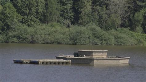 Petition started to rename Lost Lagoon fountain after Dr. Bonnie Henry ...