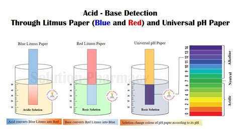 How To Check Ph Of Solid Sample