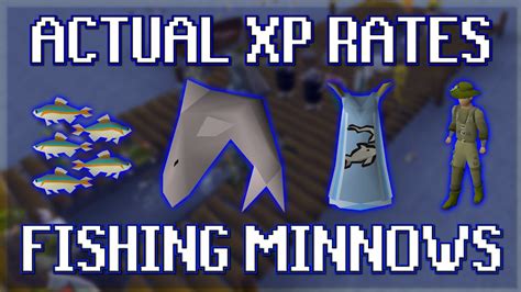 Actual XP Rates for Fishing Minnows in OSRS - YouTube