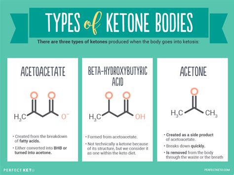 What is the Ketogenic Diet?