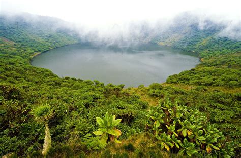 Volcanoes National Park – Visit Rwanda