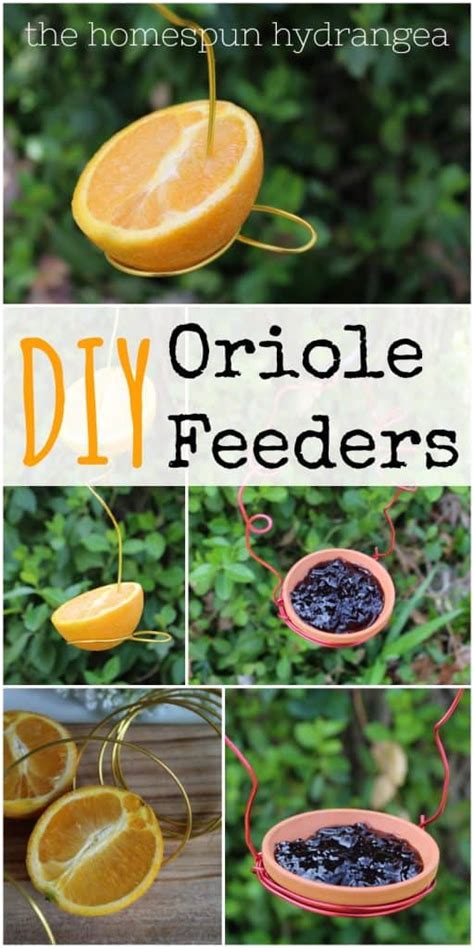 How to Make an Oriole Feeder - The Homespun Hydrangea