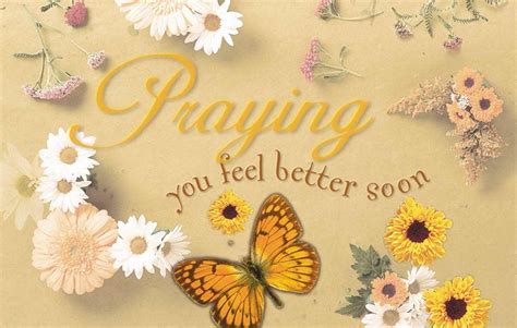 Postcard-Praying You Feel Better Soon/Flowers (3 John 1:2 NIV) (Pack of ...