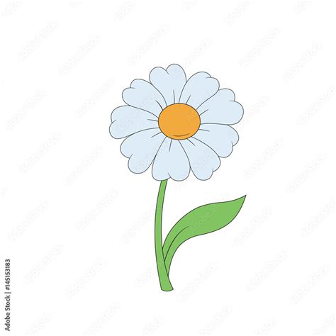 Cartoon daisy. Simple flower on white background. Stock Illustration ...