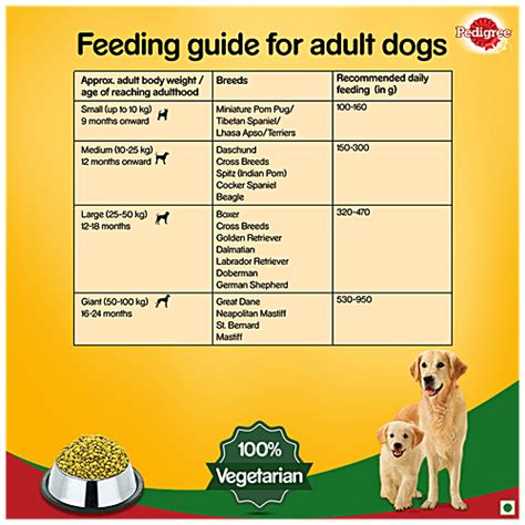 Buy Pedigree Dry Dog Food - Complete & Balanced, 100% Vegetarian ...