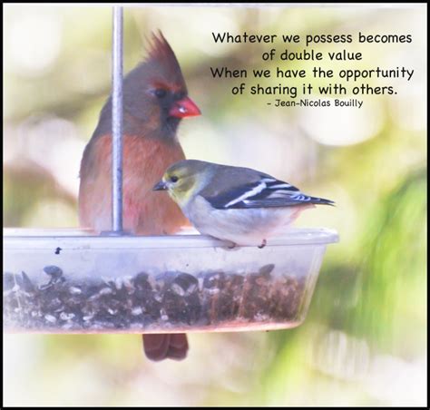 Goldfinch Quotes. QuotesGram