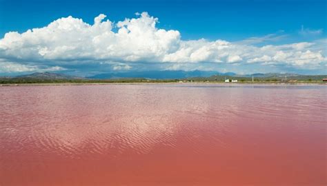 10 Most Shocking Lake Retba Images - Fontica Blog