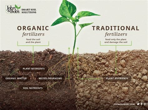 Soil Infographic | Plant nutrients, Natural farming, Organic plants