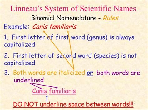 Linnaeus System of Scientific Names - Binomial Nomenclature Rules