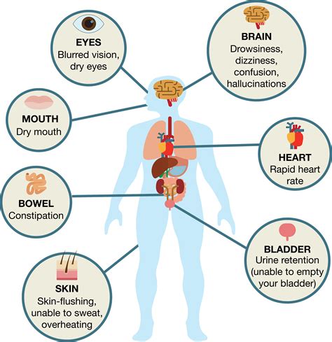 Anticholinergic Drugs And Dementia - Image to u