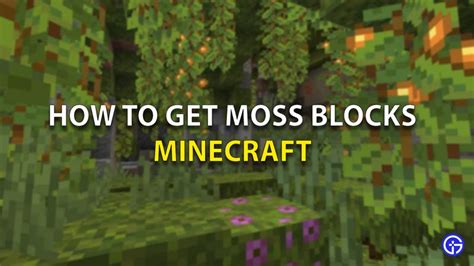 How To Get Moss Blocks In Minecraft? | Gamer Tweak