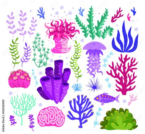 Coral Reef Plants