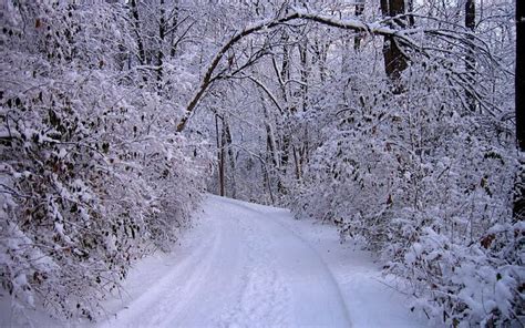 Michigan | Winter scenery, Michigan adventures, Pure michigan