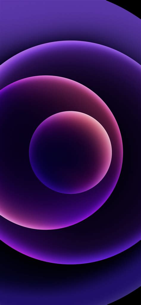 Download New Purple iPhone 12 Wallpaper for Any Device