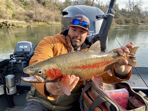 Sacramento River trout fishing report — Jeff Goodwin Fishing