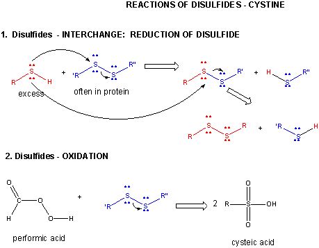 A7. Cysteine Chemistry - Chemistry LibreTexts