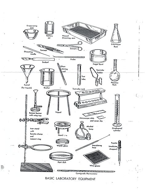 Biology Lab Equipment Worksheet