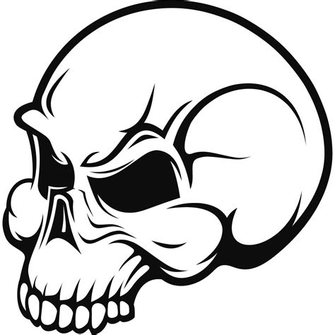 Pin on Skulls