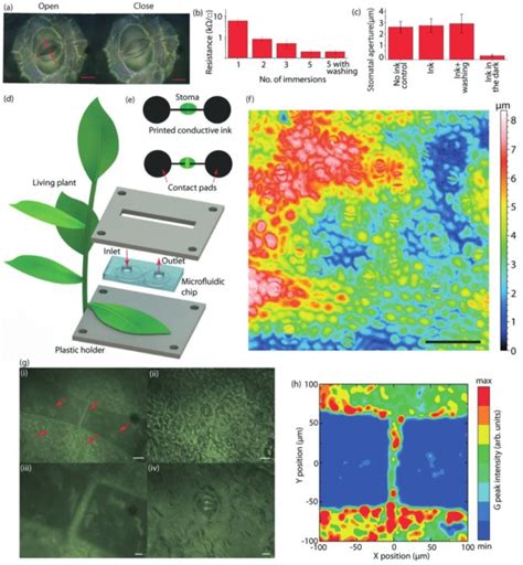 Persistent drought monitoring using a microfluidic-printed electro ...