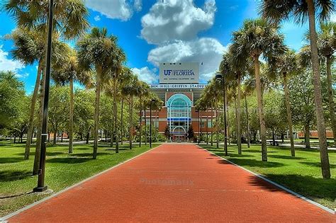 CM's Guide to University of Florida ⋆ College Magazine