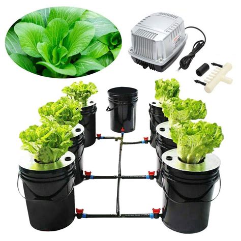 YIYIBYUS Hydroponic Deep Water Culture 6-Plant Grow System Kit HG ...