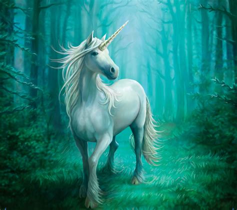 Unicorn - Fantasy Photo (41234264) - Fanpop