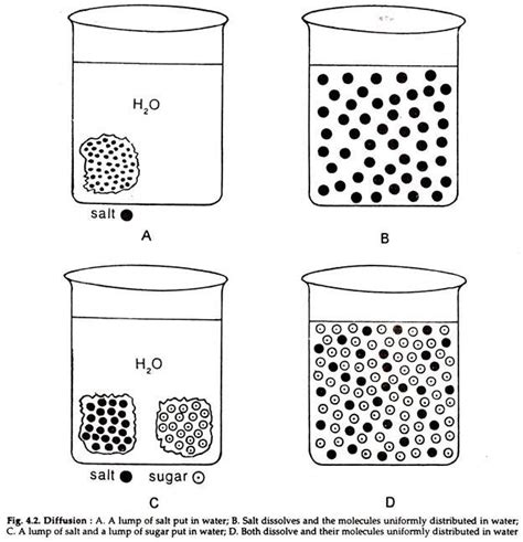 Osmosis and Diffusion (With Diagram) | Zoology