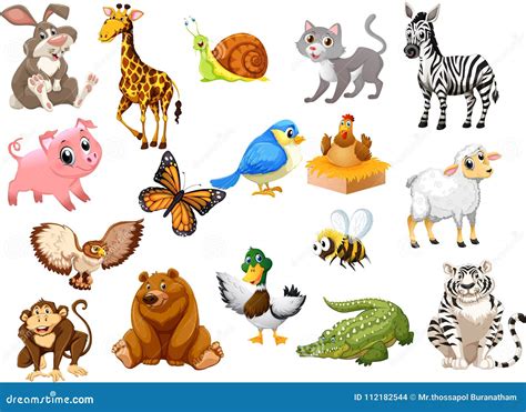 Animals Cartoon Collection One for Kids Stock Illustration ...