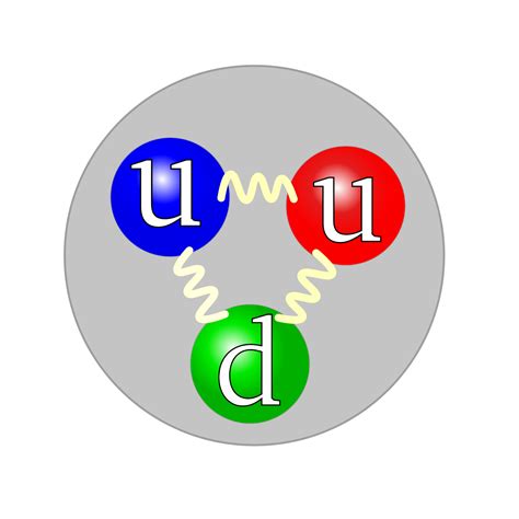 Explainer: quarks