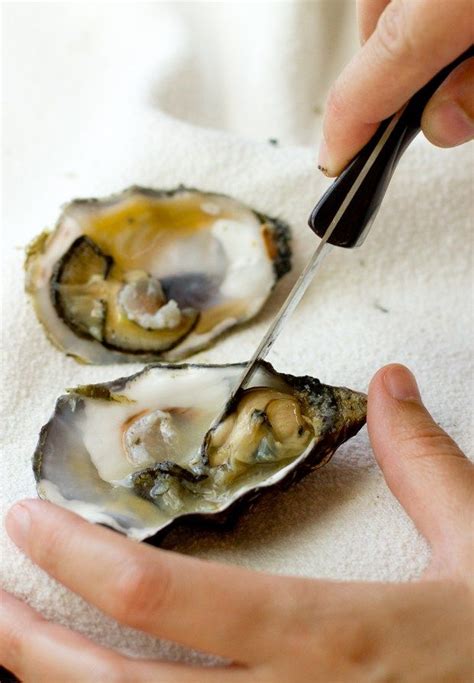 How to Shuck Oysters | Shucking oysters, Healthy snacks to make, Oysters