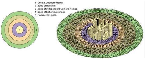 Burgess model or concentric zone model | Urban Development Model