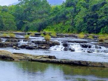 Top thing to do in Chalakudy River (2024) | All about Chalakudy River ...