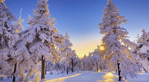 Winter In Germany, german winter, winter scene, blue winter, winter ...