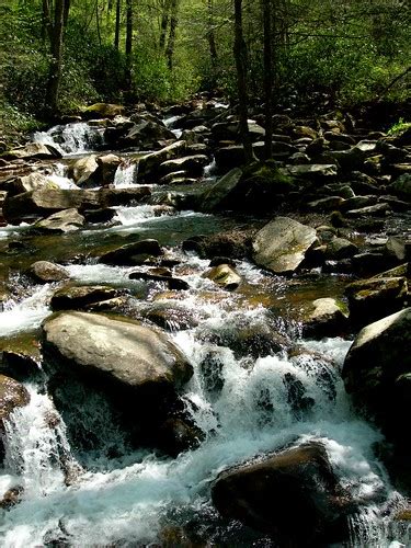 Chimney Tops Trail - Tennessee | AllTrails.com