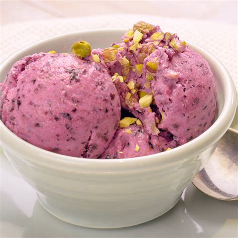 Blueberry Frozen Yogurt - EasiYo Global