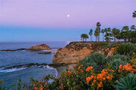 Coolest Things to Do in Laguna Beach, California - Bobo and ChiChi