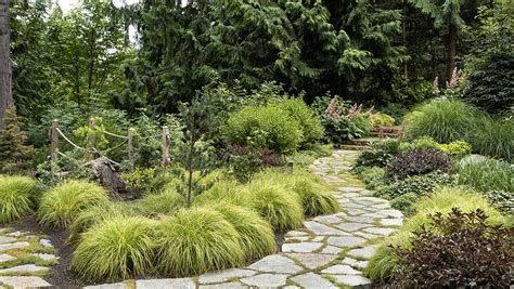 Design School: How a Pro Creates a Lush Woodland Garden