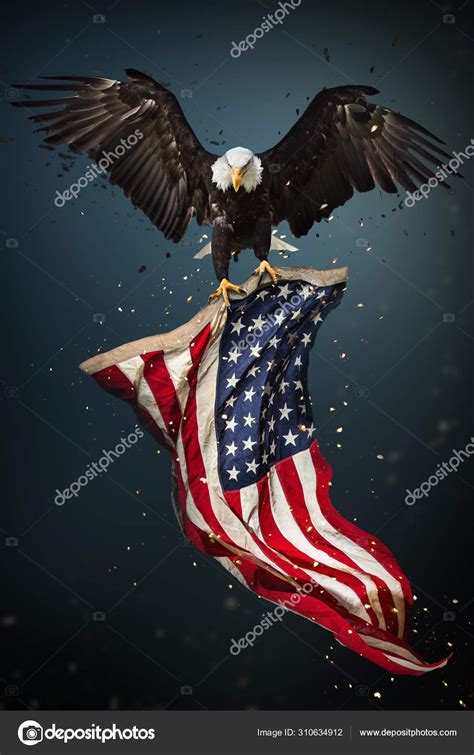 American Bald Eagle flying with Flag. Stock Photo by ©Kesu01 310634912