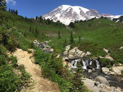 Exploring Paradise - in Mount Rainier National Park - Wanderer Writes