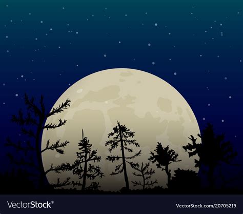 Full moon in the night sky Royalty Free Vector Image