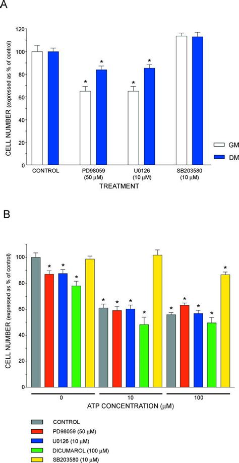 Inhibitors of the MAPK pathways have effects on satellite cell number ...