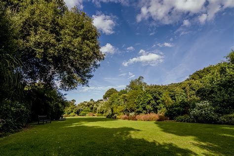 The New Zealand Garden - Ventnor Botanic Garden