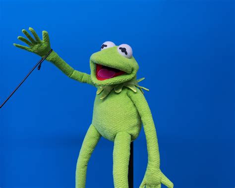 Kermit the Frog Hand Puppet Muppet Puppet - Etsy