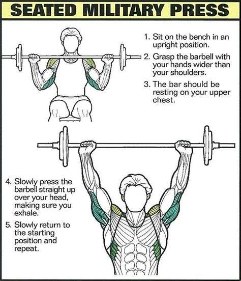 Build Strong Shoulders with Seated Military Press